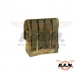 Preview: Invader Gear - 5.56 Doppelte Molle Magazintasche in Everglade