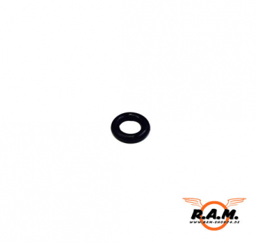 O-Ring für RAM Combat, original APS #M3703