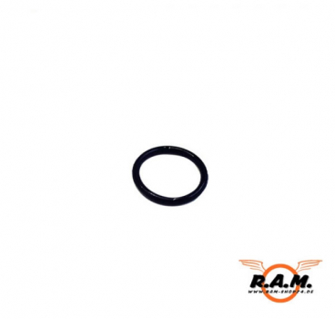 O-Ring für RAM P99 + RAM COMBAT, original APS #9116/#P2116