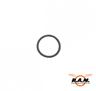 O-Ring (Barrel Unit) für RAM X50 /P226 original APS #P2803