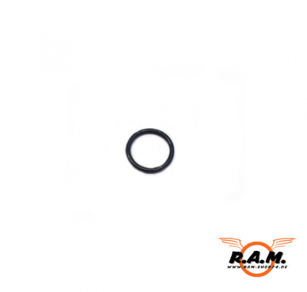 O-Ring für RAM Combat original APS #P2122