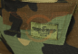 Preview: Predator Combat Hose, Woodland