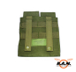 Preview: US MOLLE AR15 Magazintasche mit Klettverschluss, doppelt, oliv