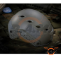 Preview: FAST Helmet BJ Foliage Green