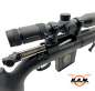 Preview: Sniper cal. 0.43 ULTIMATE LIMITED JUBILEE EDITION BUNDLE