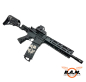 Preview: Tippmann TMC LIMITED PUNISHER EDITION schwarz cal. 0.50