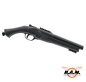 Preview: T4E TS68 Shotgun GEN2