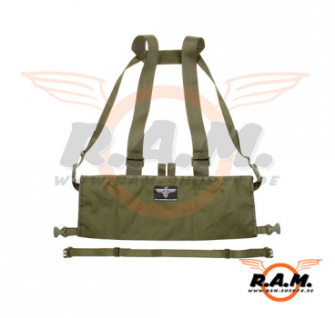 Molle Rig in OD