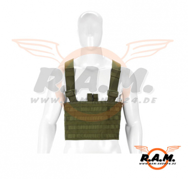 Molle Rig in OD