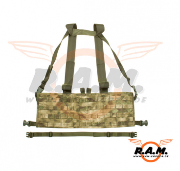 Molle Rig in Everglade