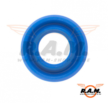 E-RAZ Lower Gasket Z-Parts