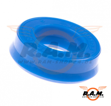 E-RAZ Lower Gasket Z-Parts