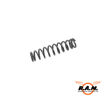 L429 Spring (SG68)