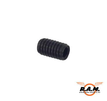 Madenschraube 6 x 10mm (schwarz)