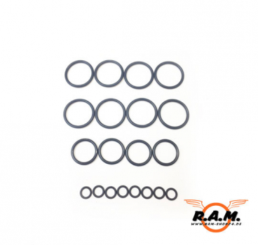Maxtact/Honorcore O-Ring Kit Deluxe