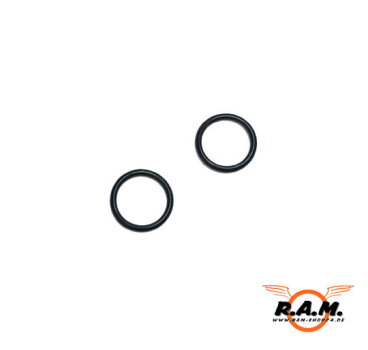2x O-Ring für RAM Combat + RAM X50 / RAM P99 / P226 #P2123