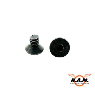 2 x Sechskantschraube M4x6mm für M-Lock / Keymod / RIS Schienen