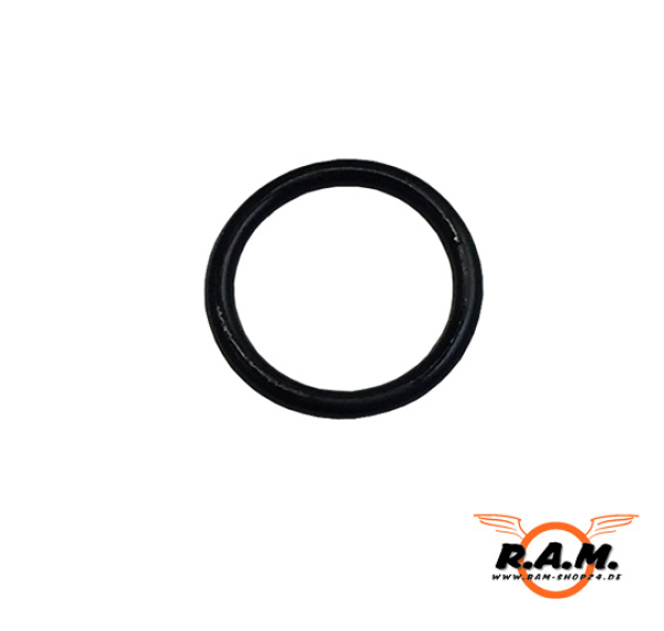 #L110  O-Ring
