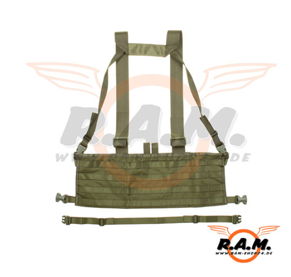 Molle Rig in OD