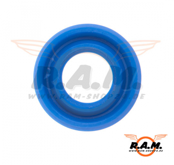 E-RAZ Lower Gasket Z-Parts