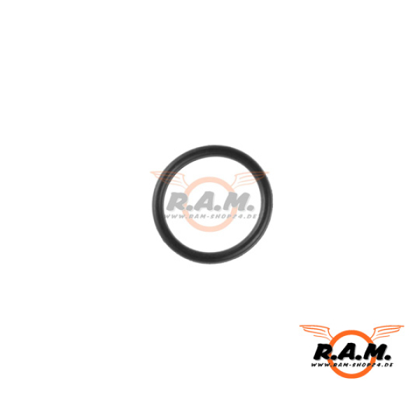 Element Piston Head O-Ring