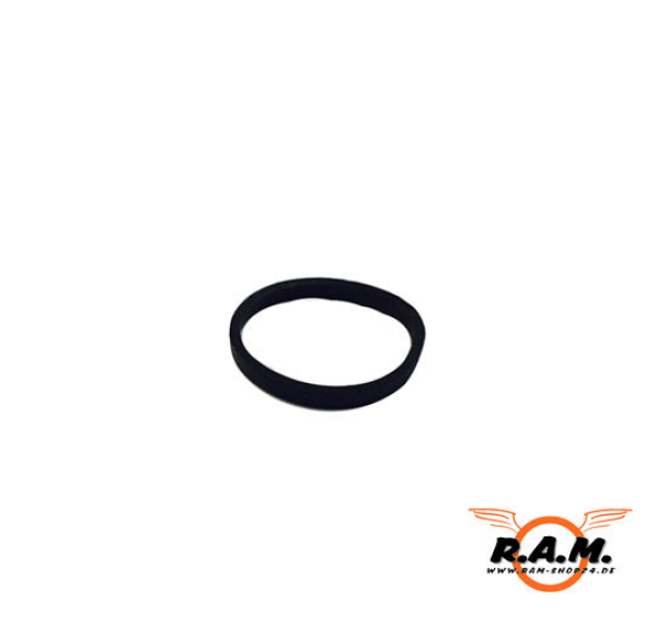 O-Rings für RAM P99 original APS #9136 (2 Stück)