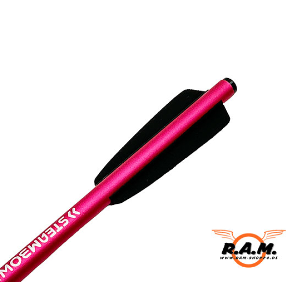 STEAMBOW Bodkinpfeile für Stinger  AR- Serie, 10er Pack, SPORT EDITION silber/pink