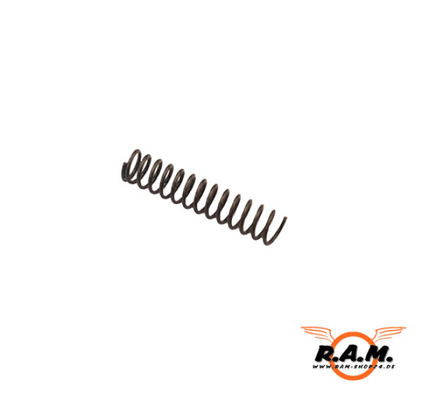 RAP4 468 FSE-007 Charging Handle Latch Spring