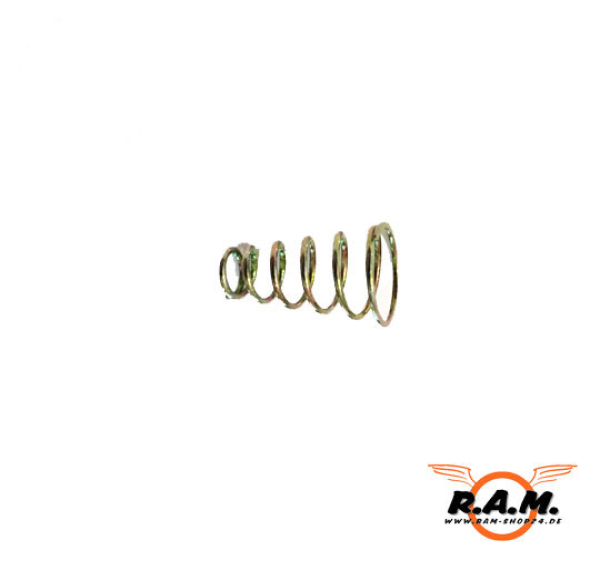 Kingman Eraser / Chaser Ersatzteil Nr. KTP0019 Valve Spring