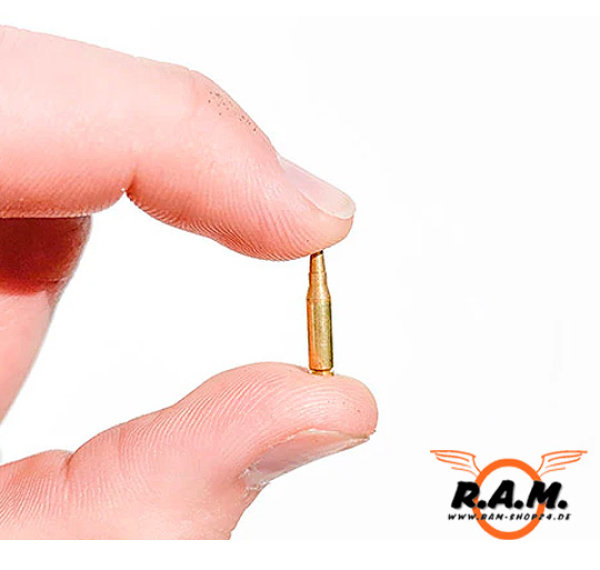 GOATGUNS - Miniatur AR Dummy Rounds, 15 Stück