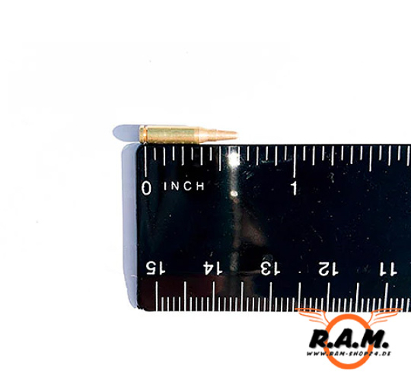 GOATGUNS - Miniatur AR Dummy Rounds, 15 Stück