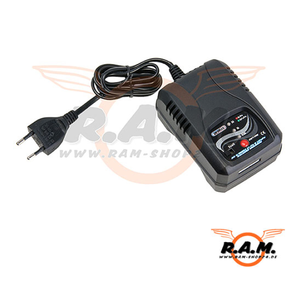 Lipo / LiFePo Balance Charger