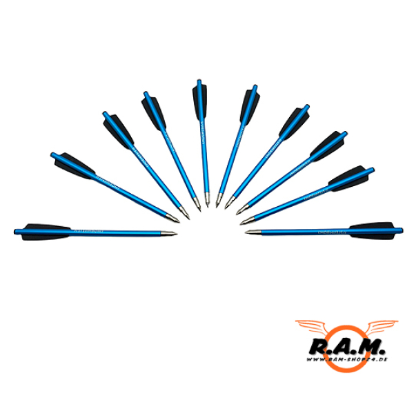 STEAMBOW Alu-Übungspfeile, 10er Pack, blau